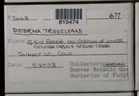 Image Associated With the Occurence